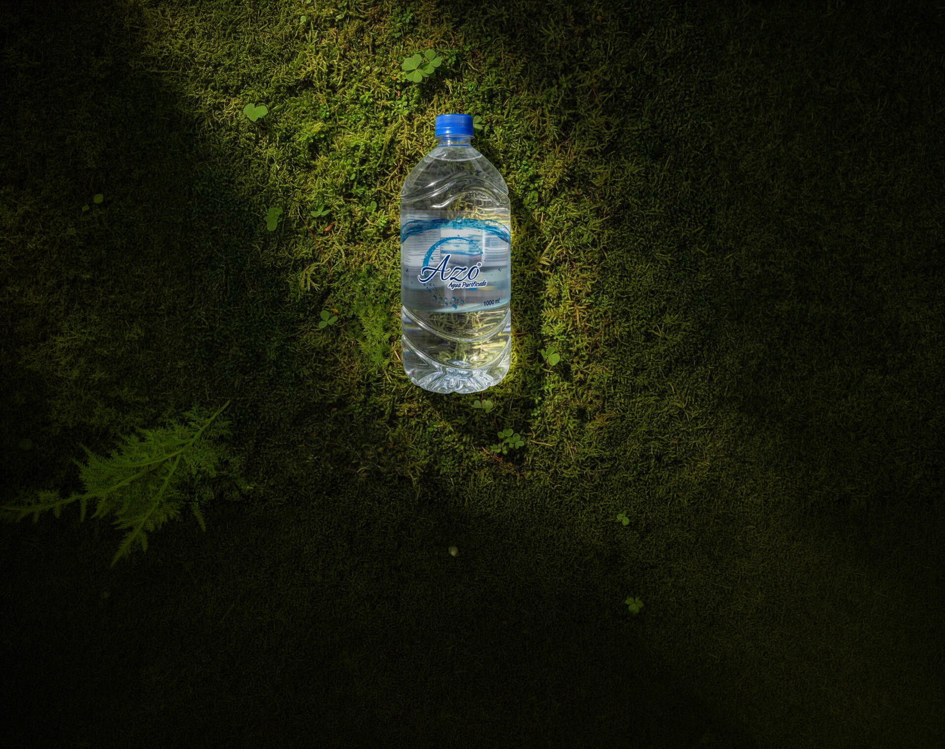 Botella AZO sobre musgo de la Zona Sur